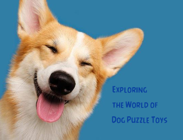 Exploring the World of Dog Puzzle Toys