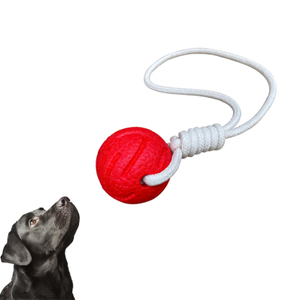 Durable pet toys OEM/ODM dog interactive toys suitable for small medium and large dogs E-TPU pet toys