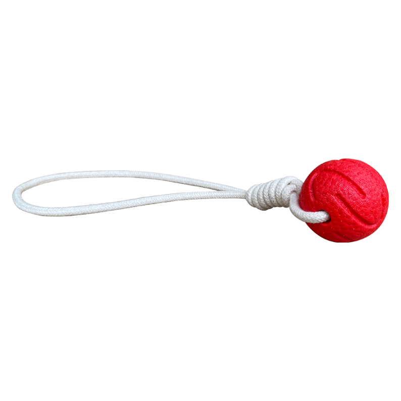 Calm Dog Toy Uses E-TPU Material To Make Environmentally Friendly Interactive Training Dog Toy
