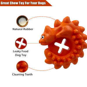 The new chameleon toy is coming, interesting shape to attract your dog, made of natural rubber, non-toxic and safe to chew