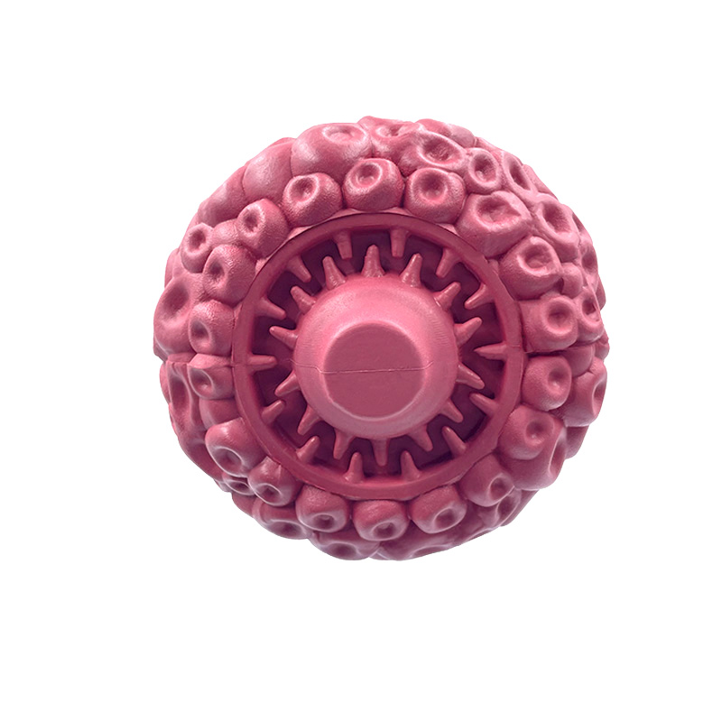New on Fun Toys Made of Natural Rubber Safe Non-Toxic Soft Squeaky Dog Toys for Medium and Large Dogs to Chew