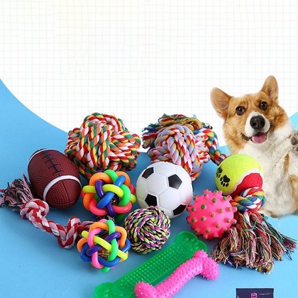 Here are six things to look for when owners choosing a dog toy for pet dog