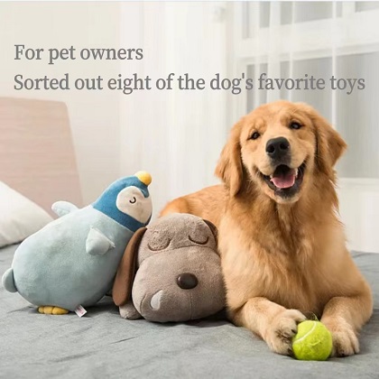 For pet owners sorted out eight of the dog's favorite toys