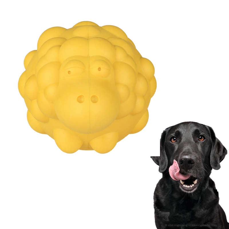 How to Choose a Durable Dog Toy