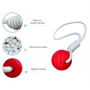 OEM/ODM Eco Friendly E-tpu Bite Resistant Dog Rope Ball Chew Toy Indestructible Outdoor Dog Toys Training And Playing
