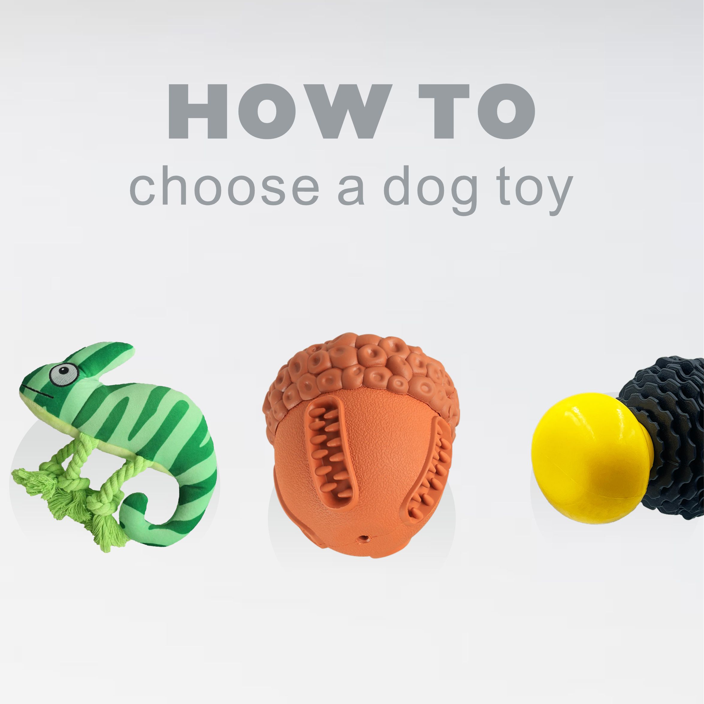 How to choose a dog toy
