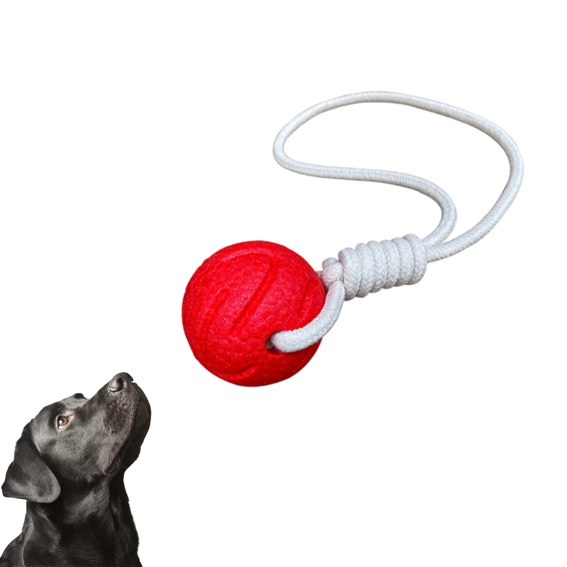 Are rope toys safe for dogs?