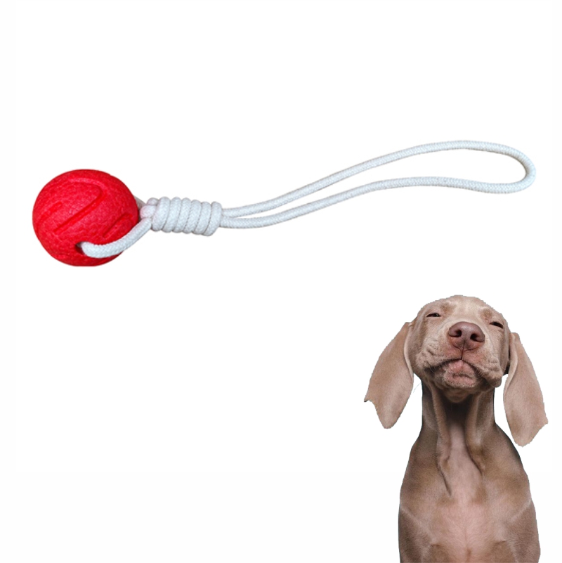 The Best Interactive Dog Toys For Your Dog