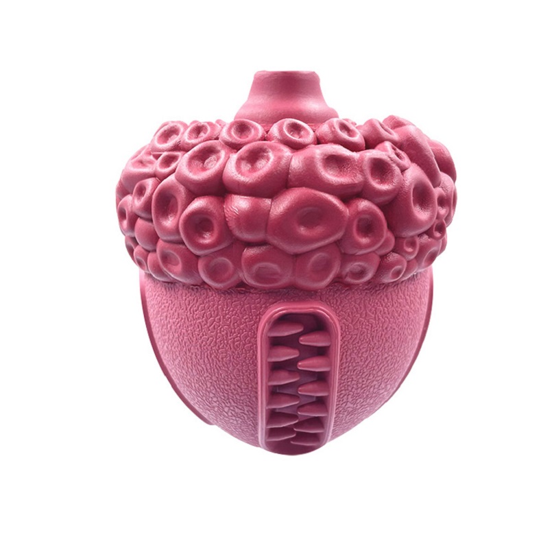 New Arrival Squeaky Hazelnut Shape Design Molar Natural Rubber Pet Dog Toy