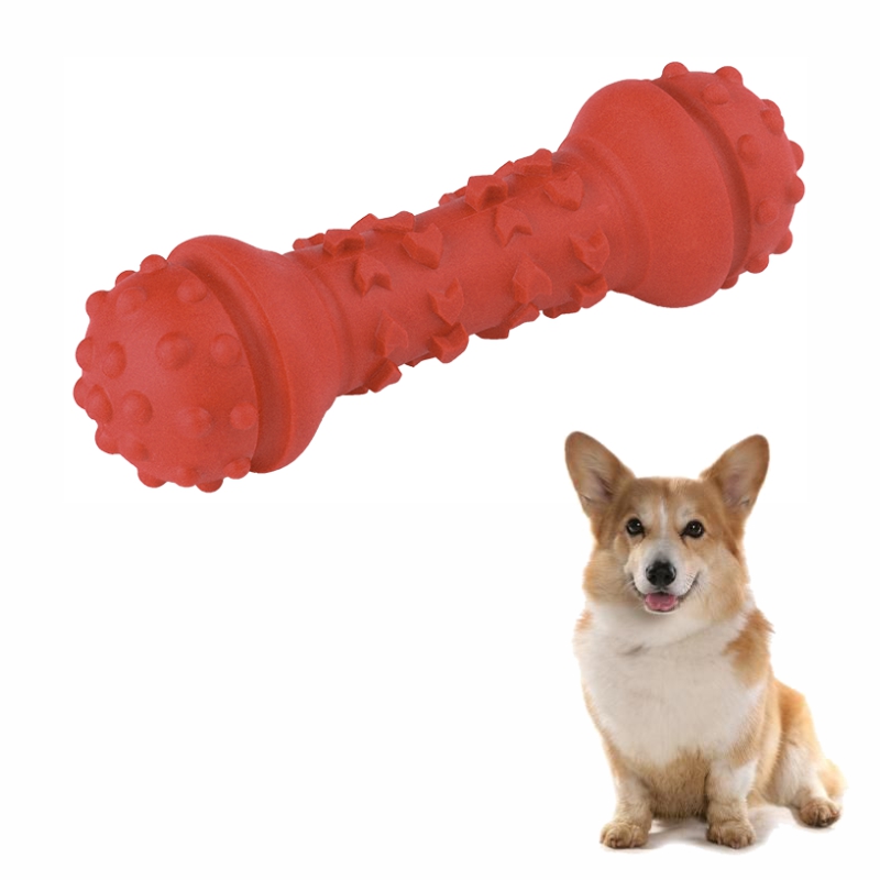 non toxic toys for dogs