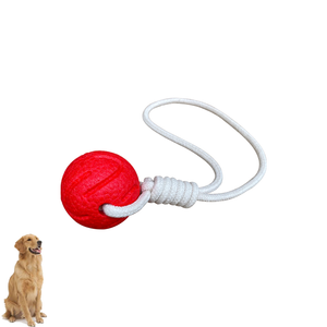 E-tpu Interactive Dog Toys Durable Chew Dog Toys Wholesale Environmental Protection Non-toxic 