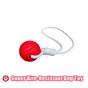 Most Eco-Friendly Dog Toys Made of E-TPU Material Durable and Indestructible Interactive Dog Toys
