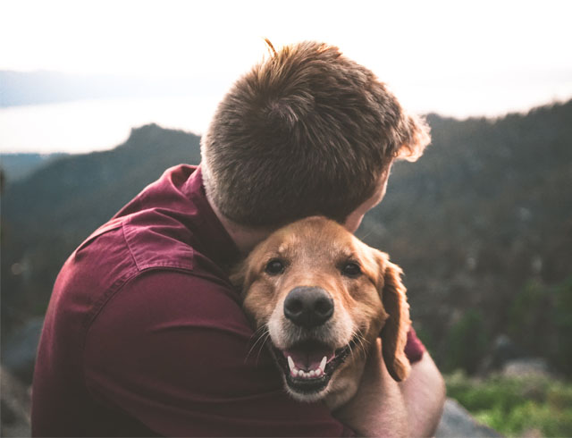 How to Bond With Your Dog?