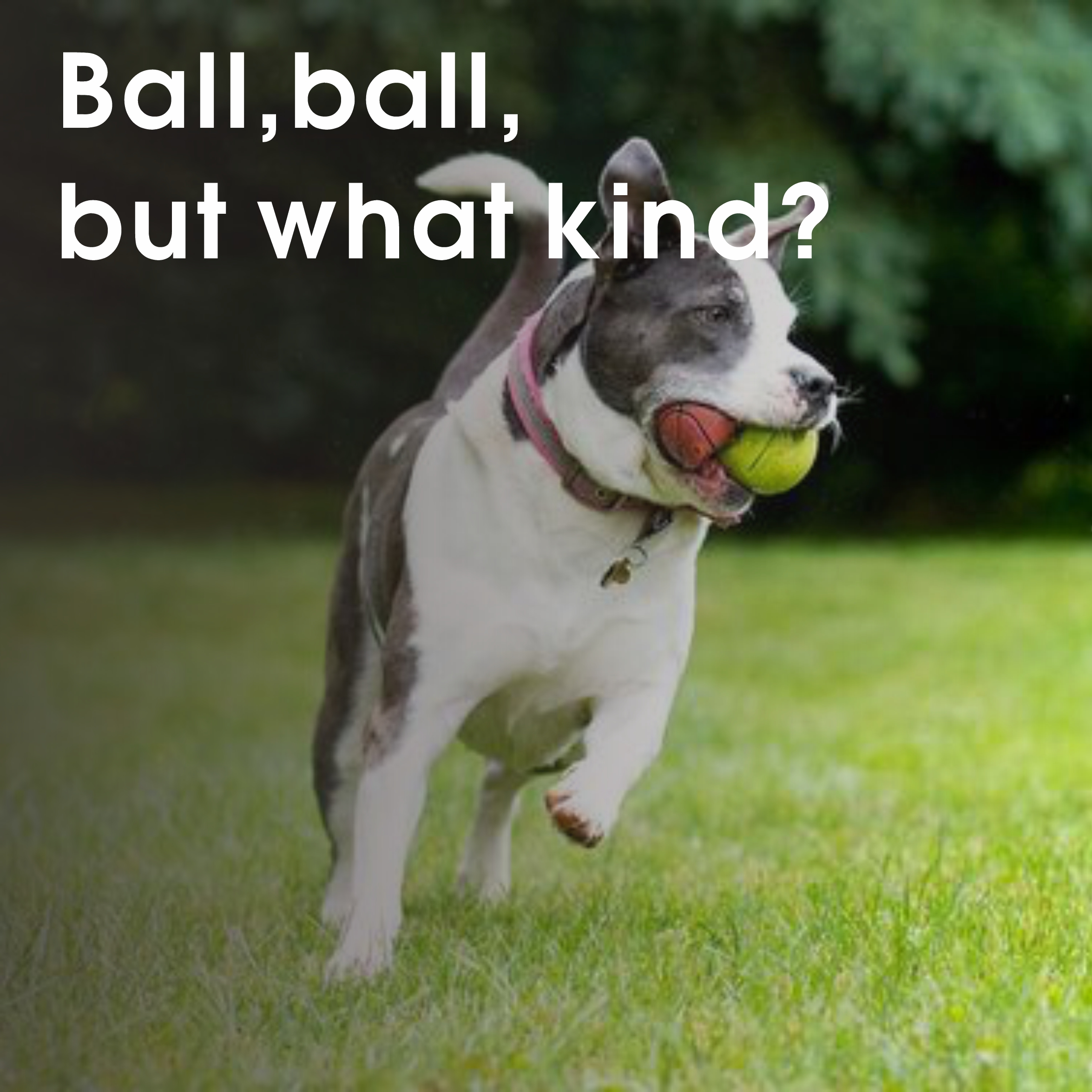 Ball,ball,but what kind?
