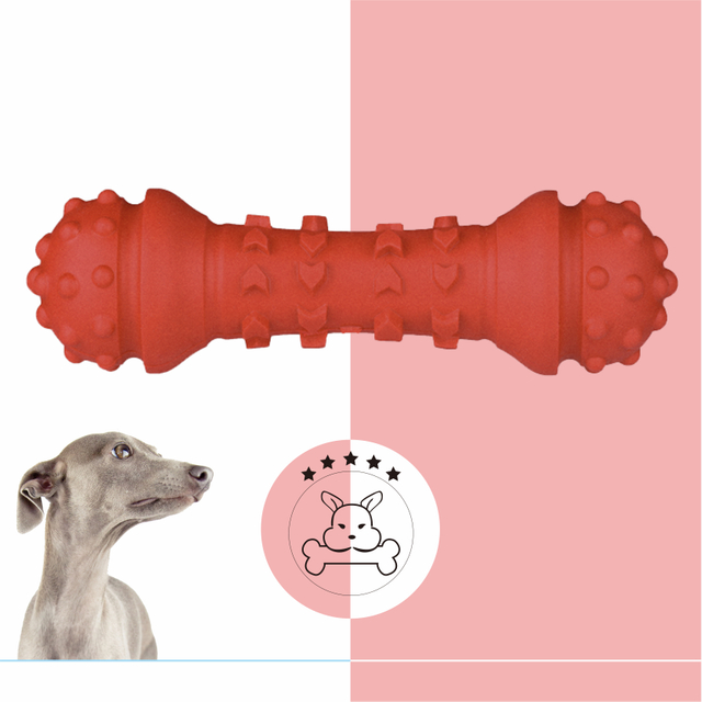 Non Toxic Dog Toys for Heavy Chewers Dog Chewing Dog Dumbell Toy Manufacturers