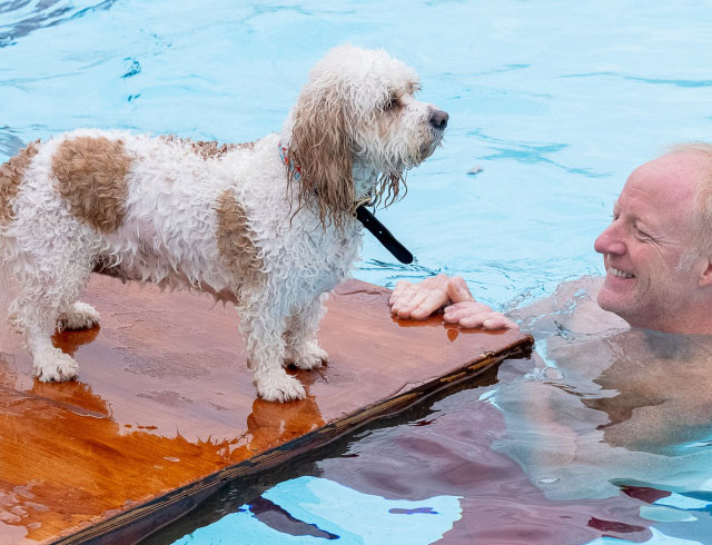 Swimming:How to stop ear infections in dogs?